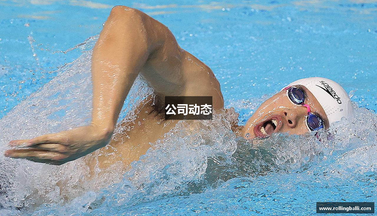 公司动态